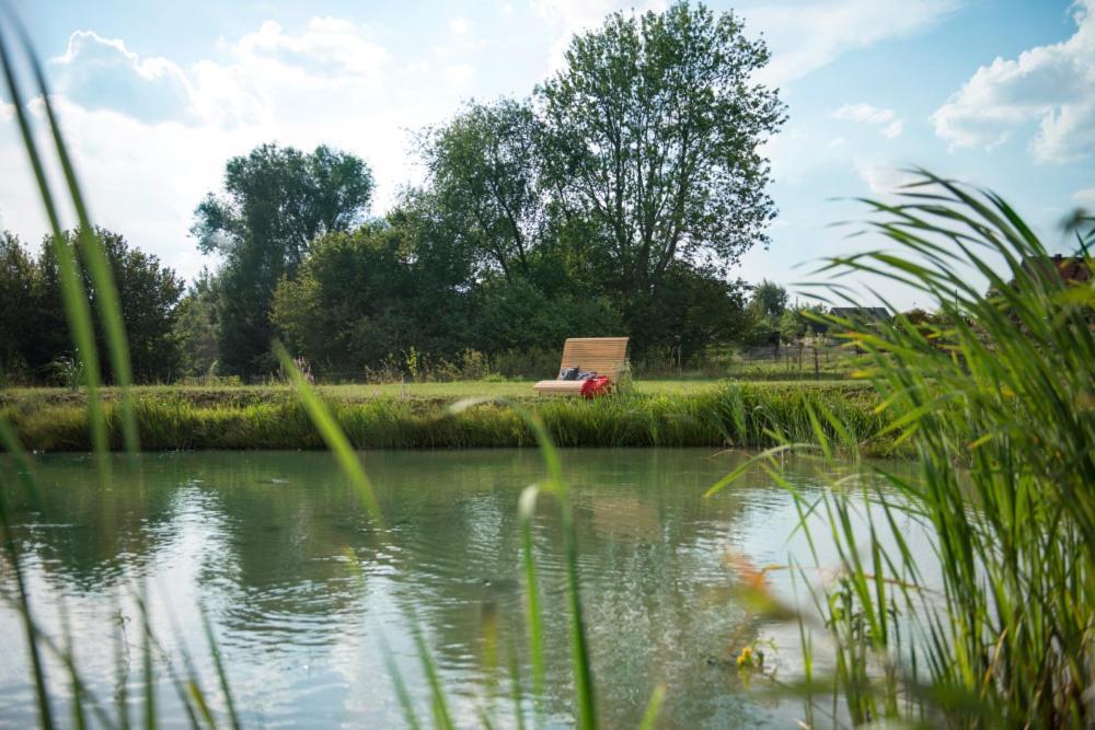 Apartamenty U Harrego II Przy Stawie Spa Klimatyzacja,Balkon,Sauna , Balia, Ogrod,Parking Kudowa-Zdrój Eksteriør bilde